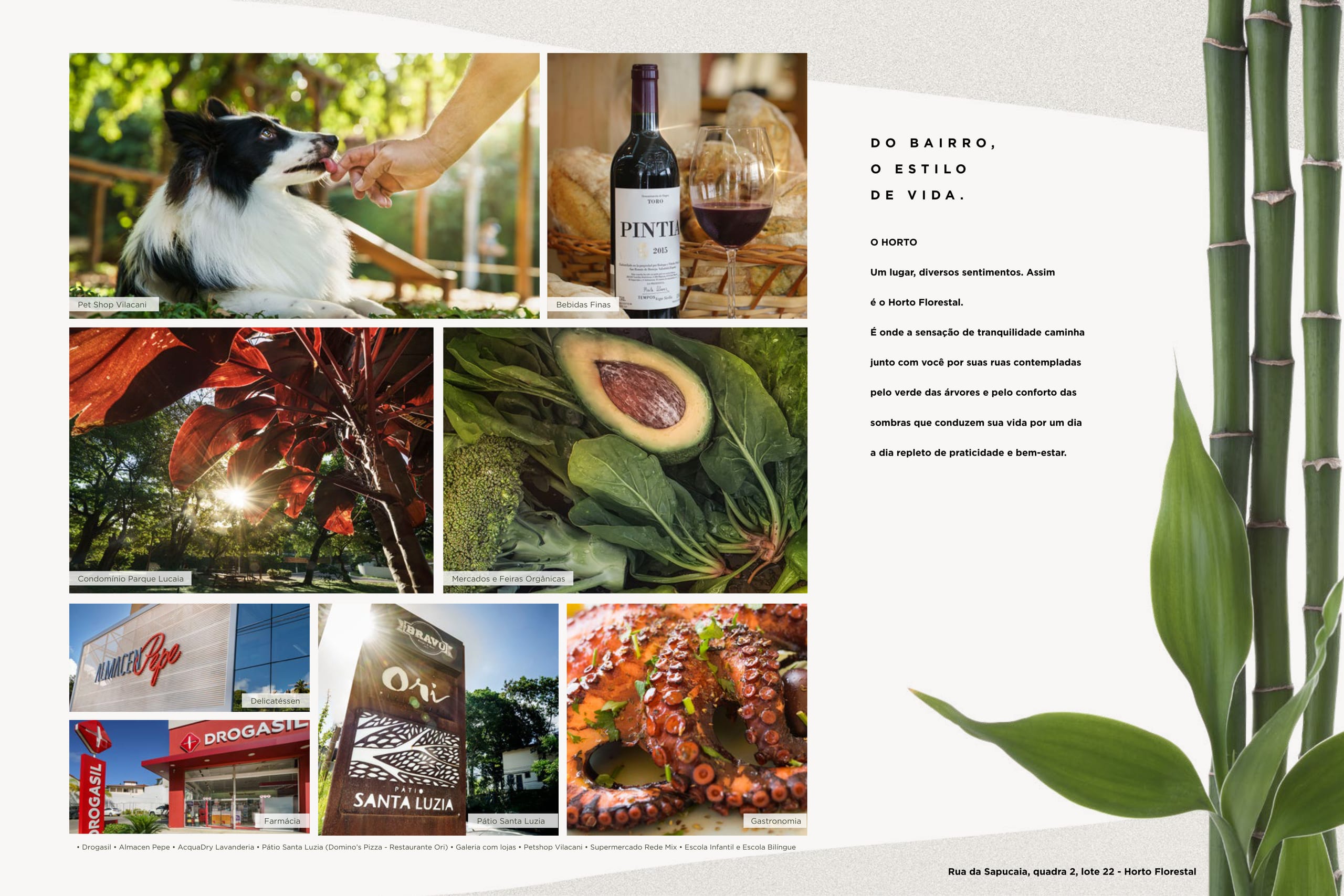 Horto Essence 5